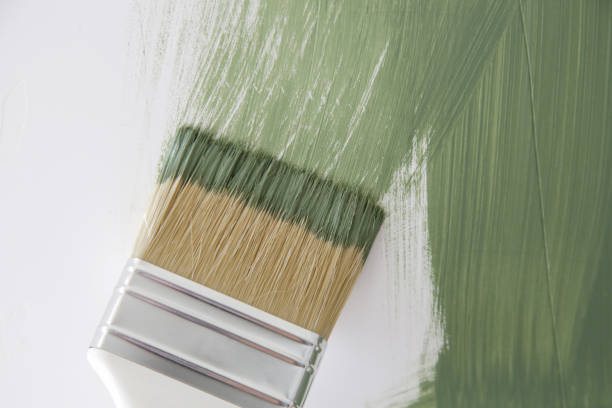 Best Mold Remediation for Healthcare Facilities  in Auburn, IN