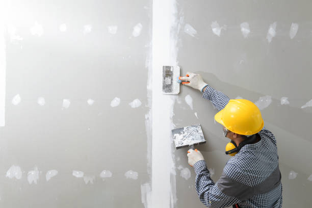 Best Commercial Mold Inspection  in Auburn, IN