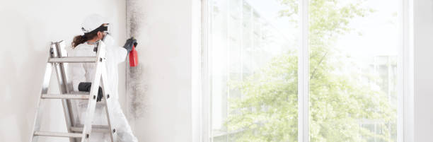 Best Residential Mold Inspection & Testing  in Auburn, IN