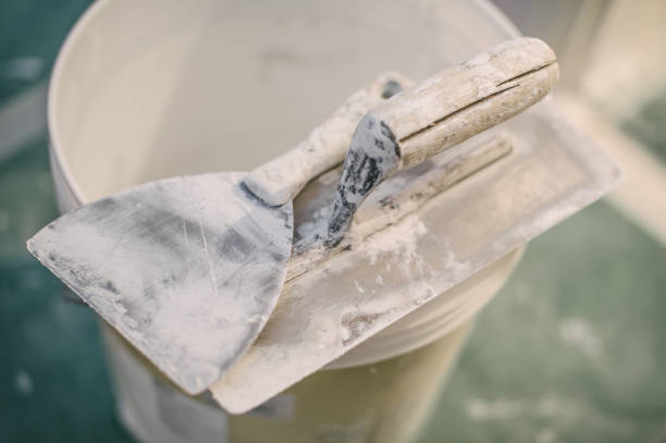 Best Industrial Mold Remediation  in Auburn, IN