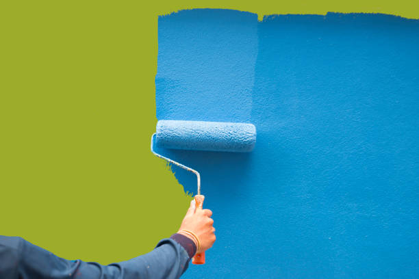 Reliable Auburn, IN Mold Removal Solutions