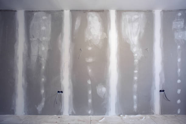 Best Crawl Space Mold Remediation  in Auburn, IN